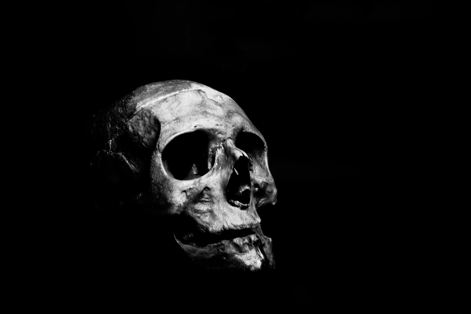 tête de mort crâne