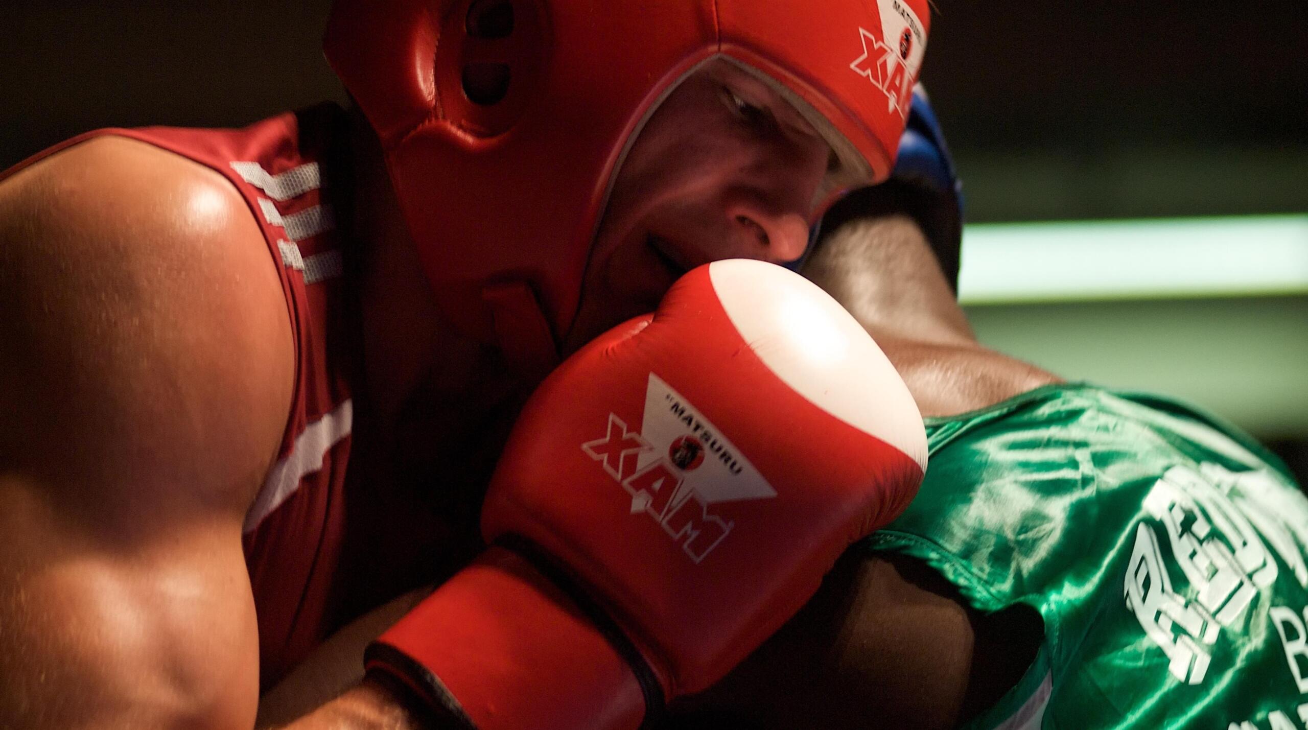 De la boxe thaï à la boxe américaine, de bonnes grosses pattes d'ours font la différence.