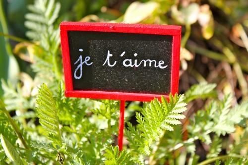 Comment passer un test de français pour préparer un examen universitaire ?