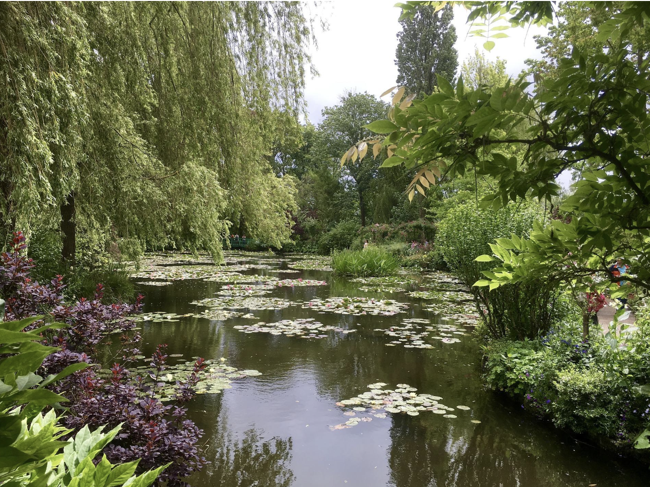 градините на клод моне