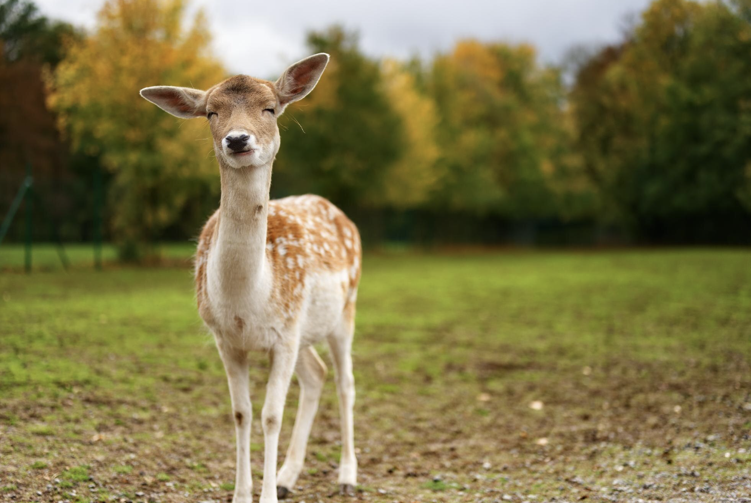 test za duhovno jivtno