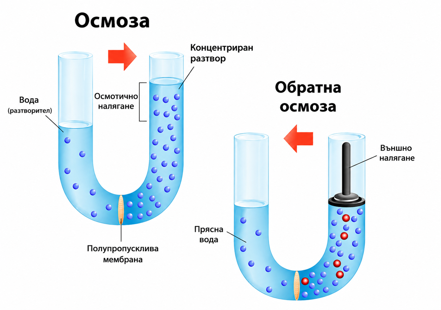 osmoza grafika