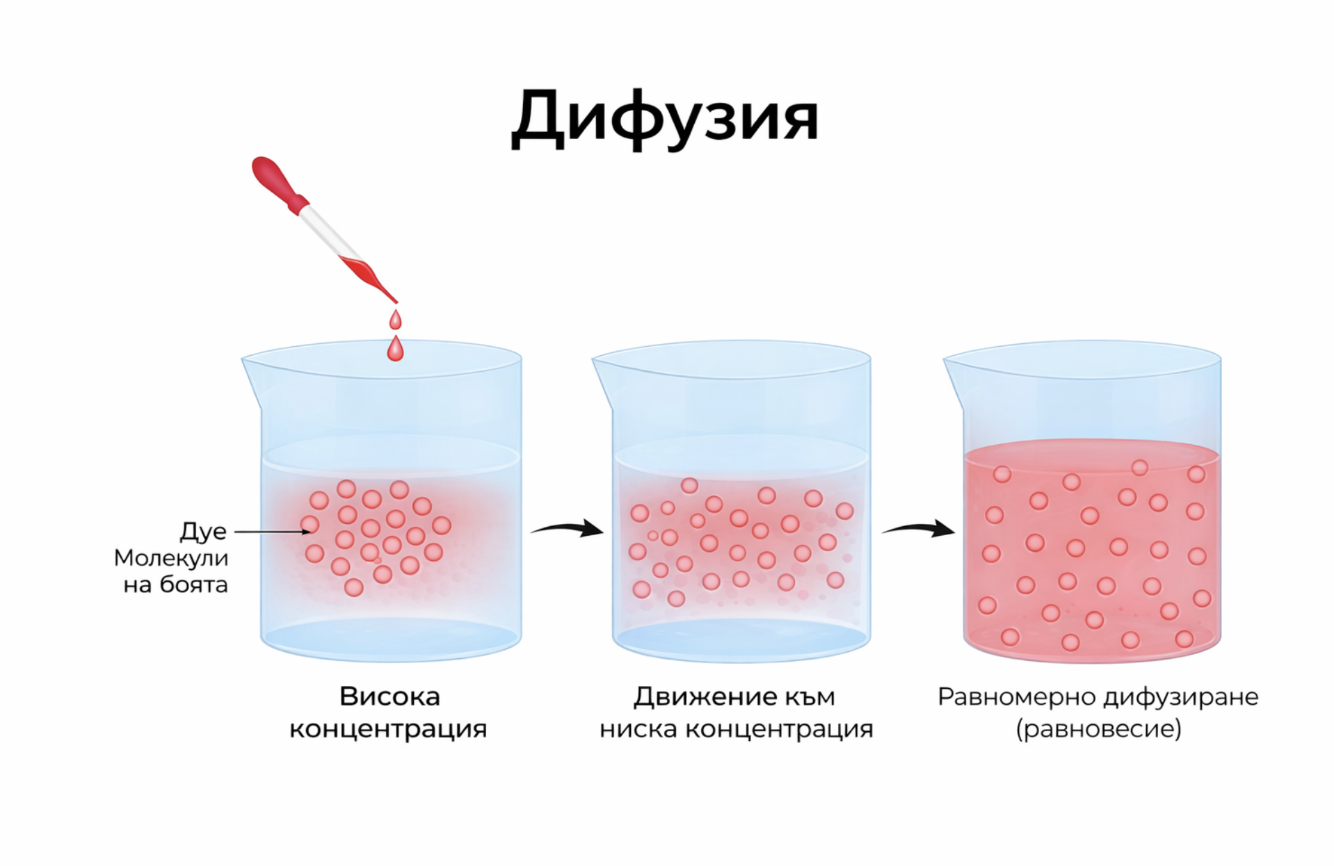 difuziq anagrama
