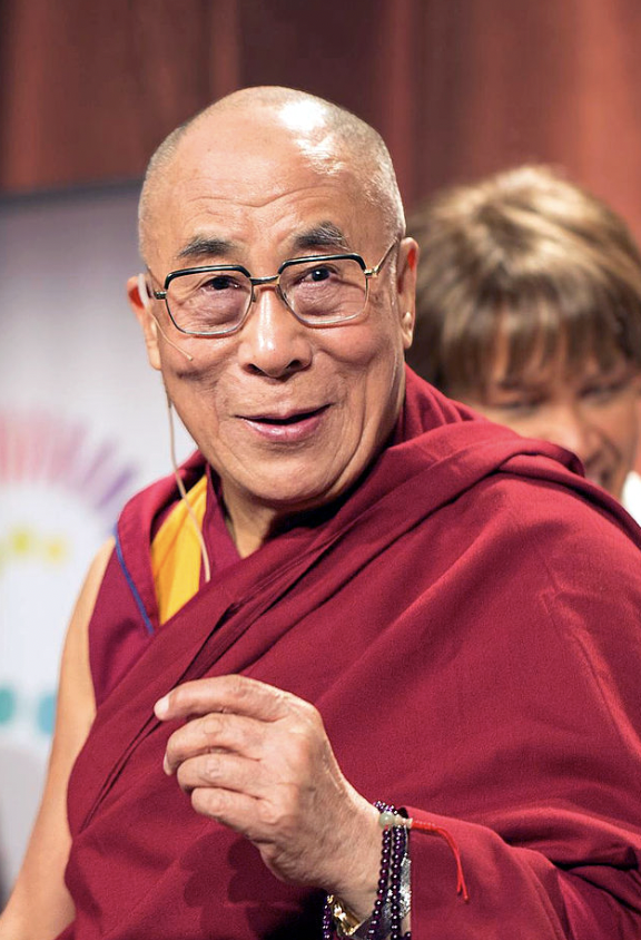 portert na lama