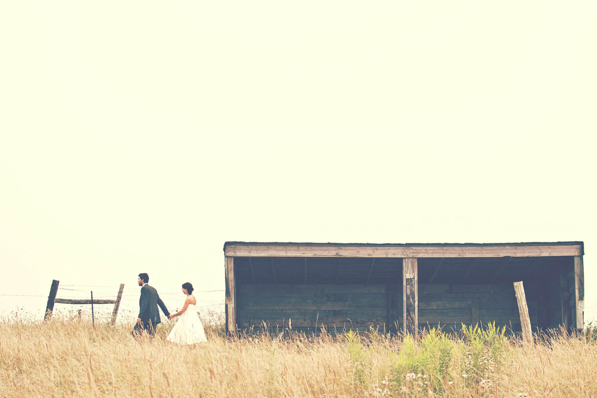 Casal de noivos andando no campo.