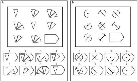 Lógica é muito importante para solucionar os problemas matemáticos