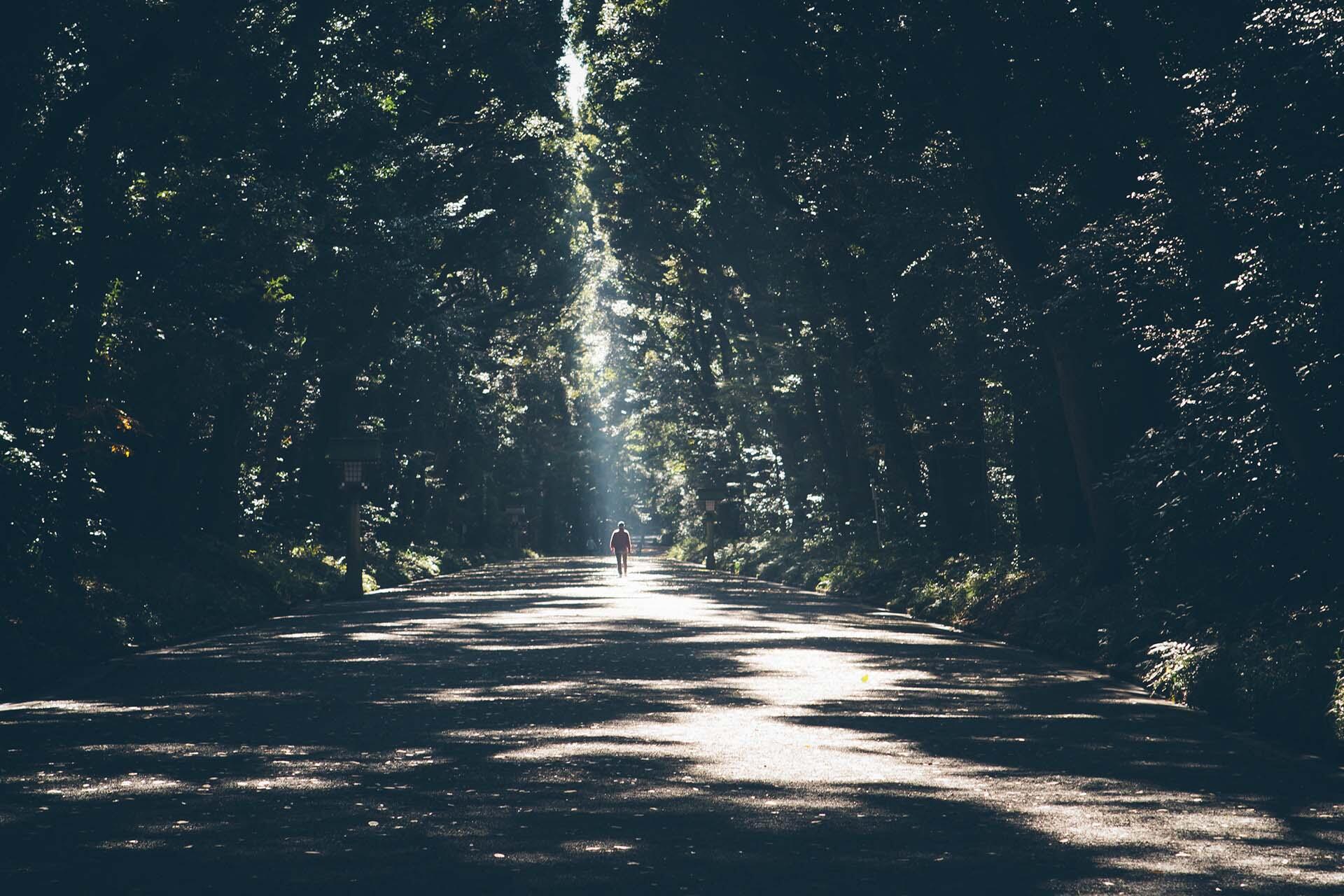 Pessoa caminhando sozinha na floresta.