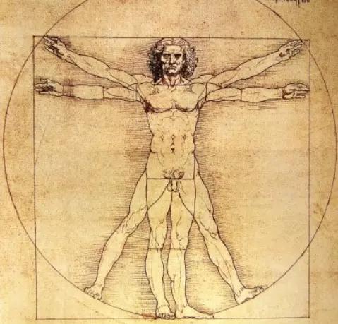 Leonardo da Vinci soube unir beleza e números