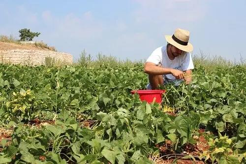 Entrar em contato com a natureza não tem preço. Aprenda!