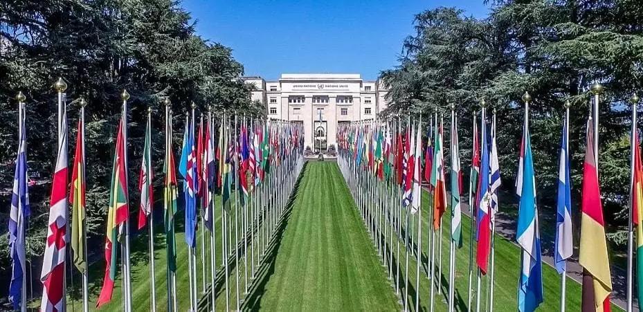 Quais são os idiomas indispensáveis no mundo de hoje?