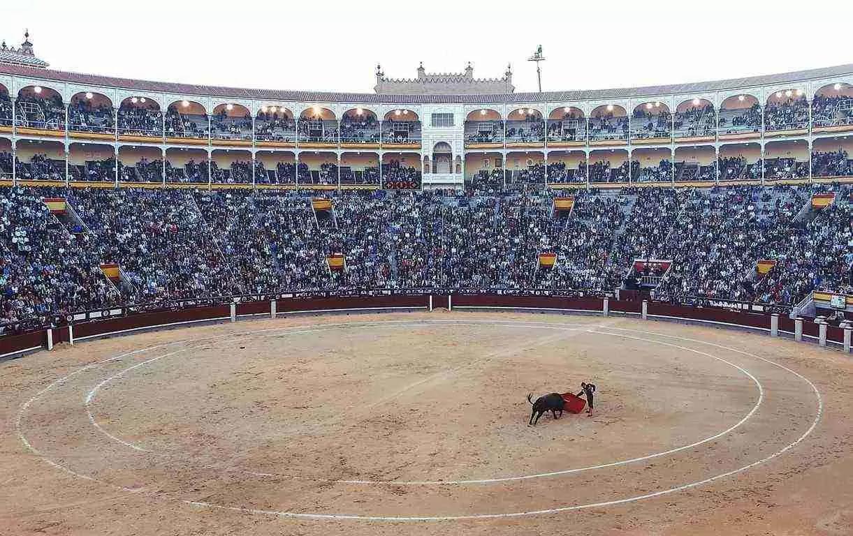 Diga olé e aprenda o idioma castelhano