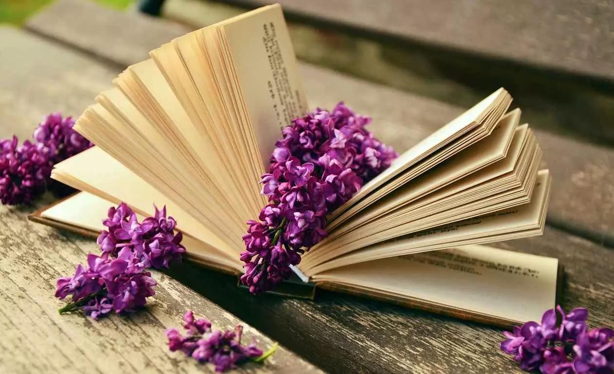 Plante a semente da leitura que as flores vão brotar em sua mente