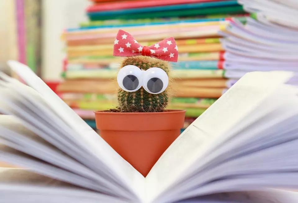 A leitura não pode ser feita de qualquer jeito.