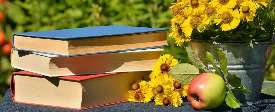 A literatura vida parte integrante da vida dos alunos desde crianças.