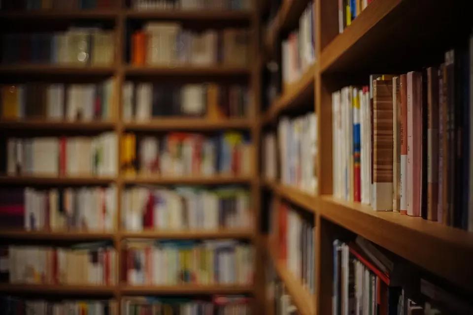 A formação em biblioteconomia te prepara para tomar conta de uma biblioteca.