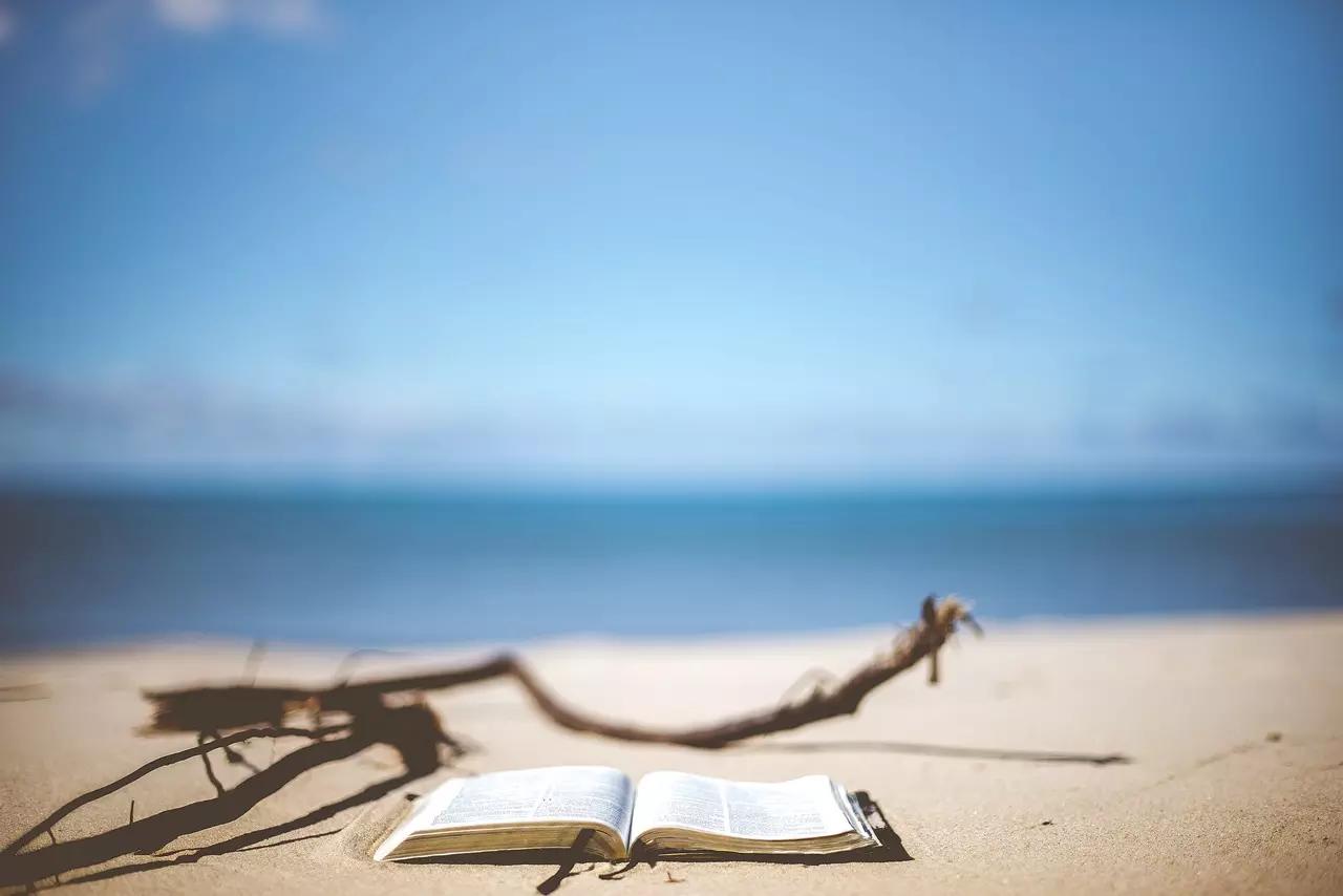 Existem livros de francês voltado para viagens.