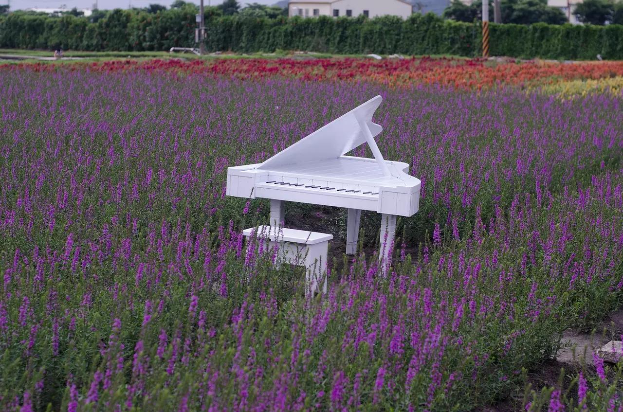 Como escolher o profissional para lhe ensinar piano?