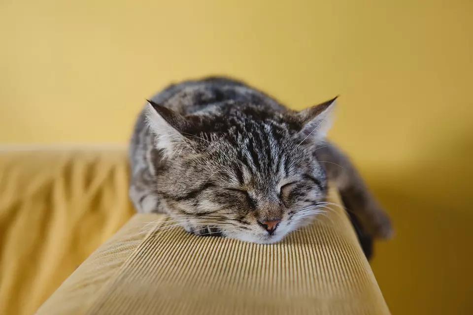 O cérebro precisa estar descansado na hora de aprender alemão.