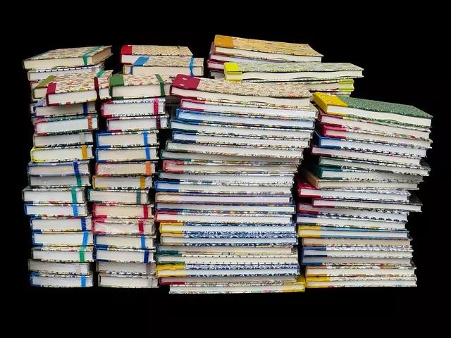 Quem não é aluno precisa pagar uma taxa para ter acesso à biblioteca do Instituto Goethe de Brasília.