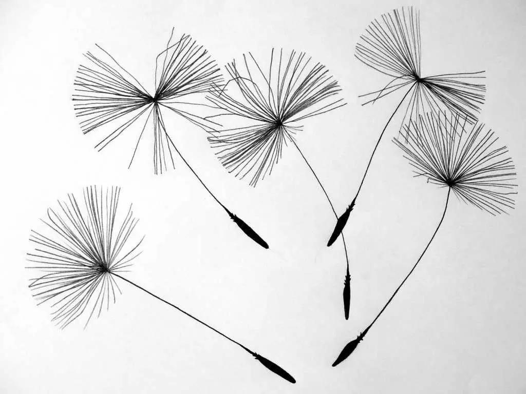 Pequenas coisas para desenhar