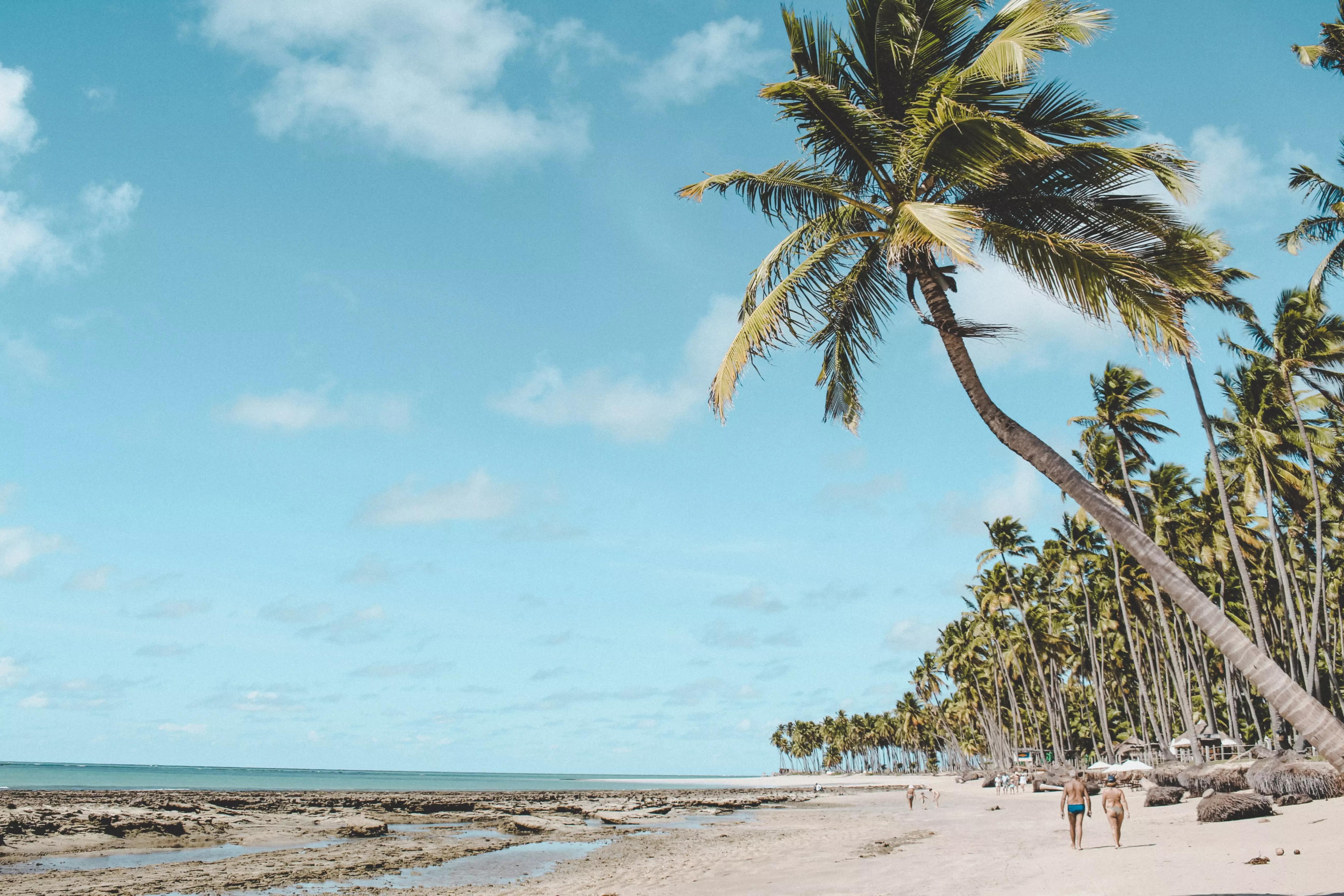Estude português em um das cidades mais bonitas do Brasil.