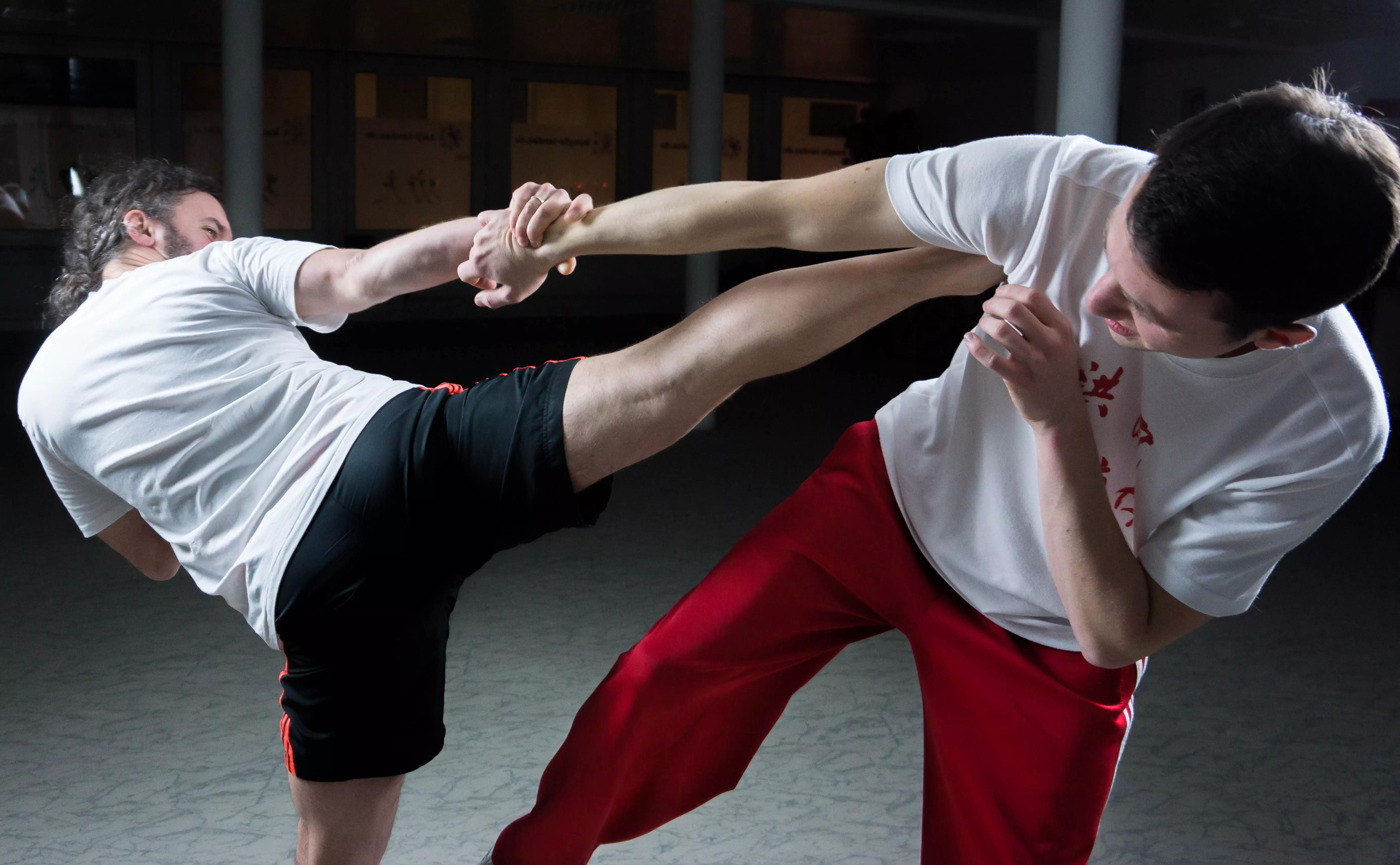 O kung fu possui variações