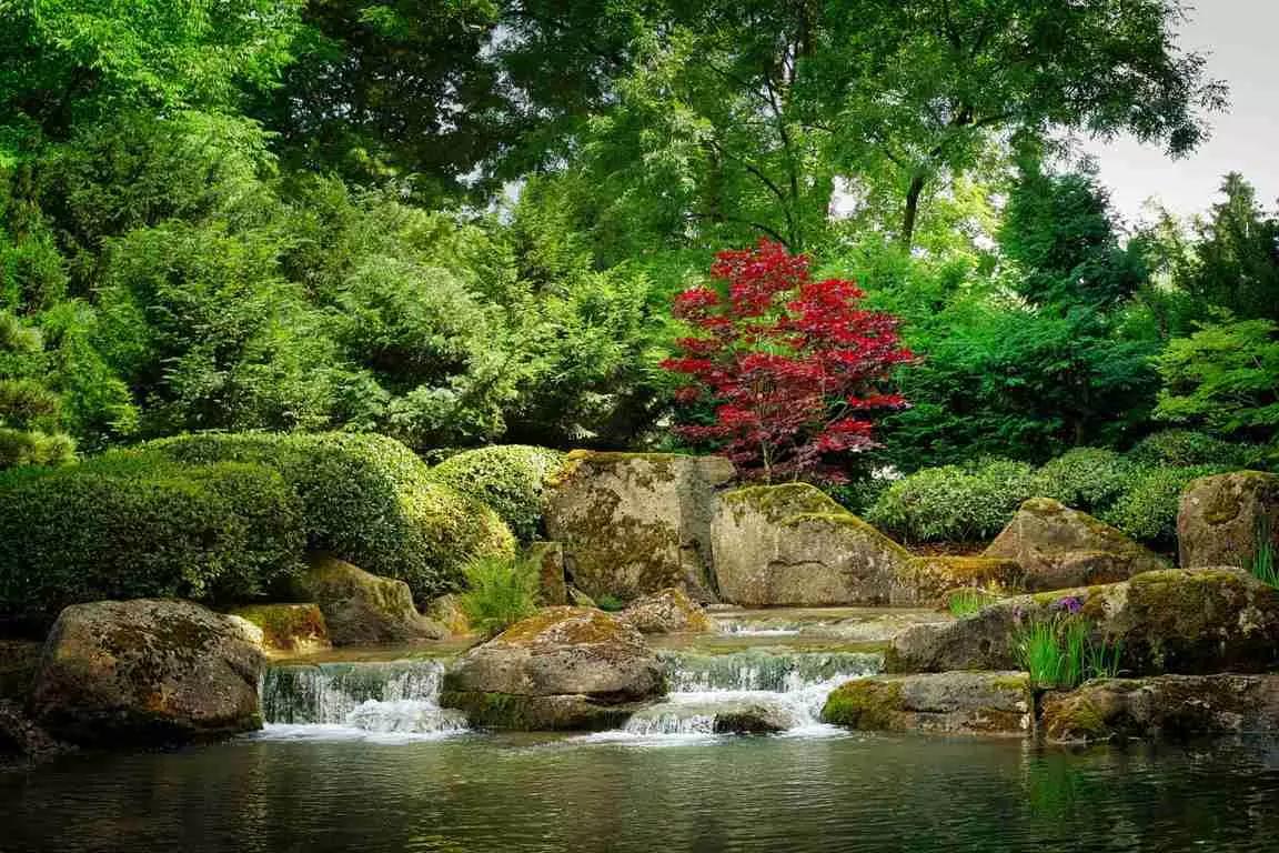 Aprenda a cultura do Japão