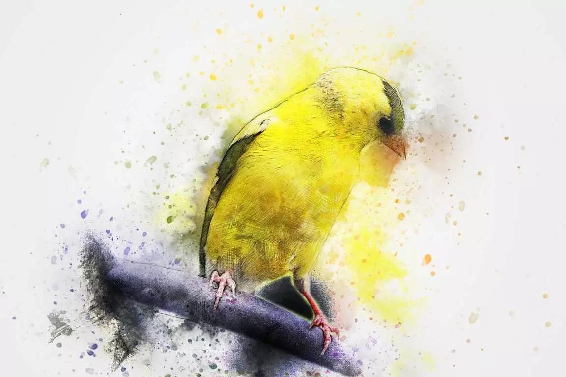 Faça desenhos coloridos nos cursos de desenho!