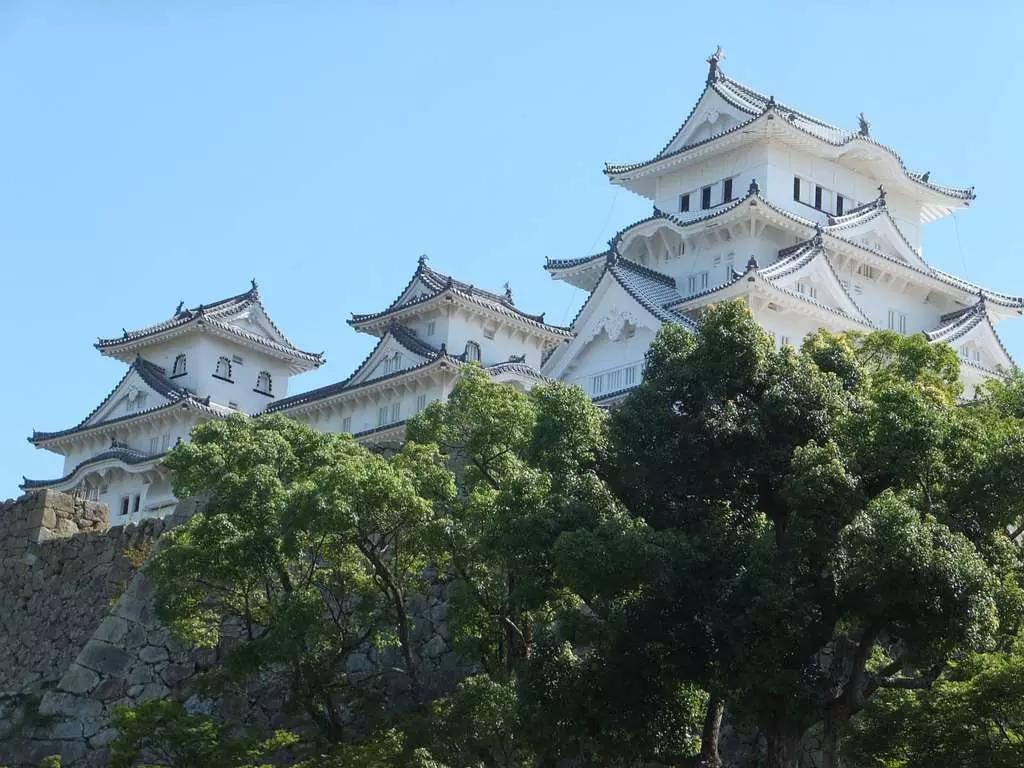Conhece as maravilhas japonesas?