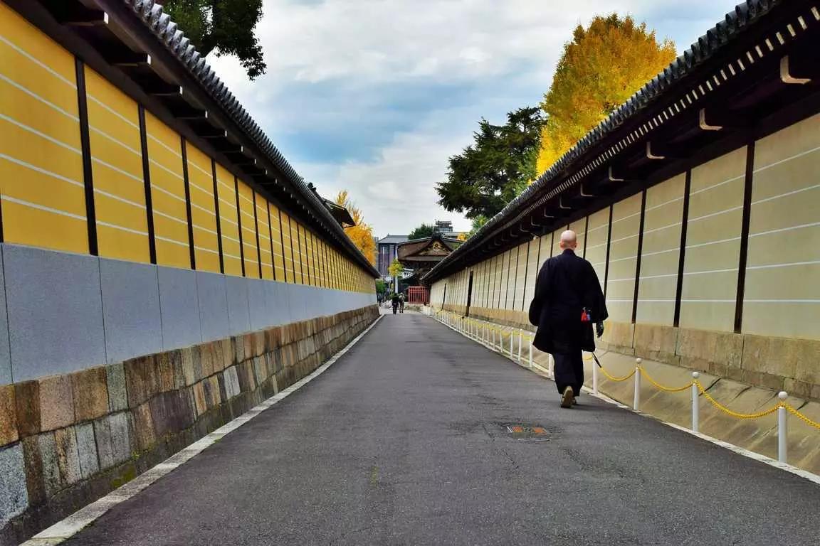 Faça japonês e conheça a terra nipônica