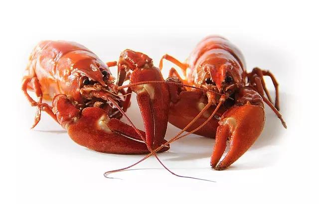 Que delícia comer um prato da culinária francesa preparado com lagosta!