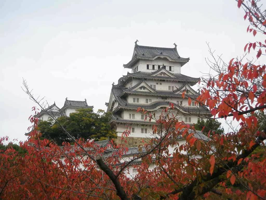 Não deixe de visitar os pontos da cultura japonesa