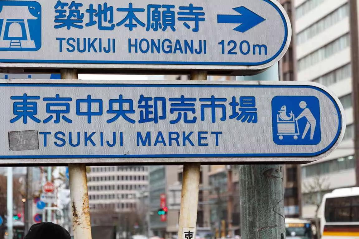 Aprenda os principais pontos do japonês