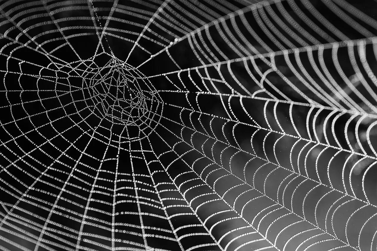 Como o vocabulário do computador evoluiu?