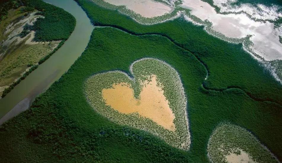 O fotógrafo Yann Arthus-Bertrand ficou conhecido em todo o mundo uma área muito pequena de mangues na Nova Caledônia.
