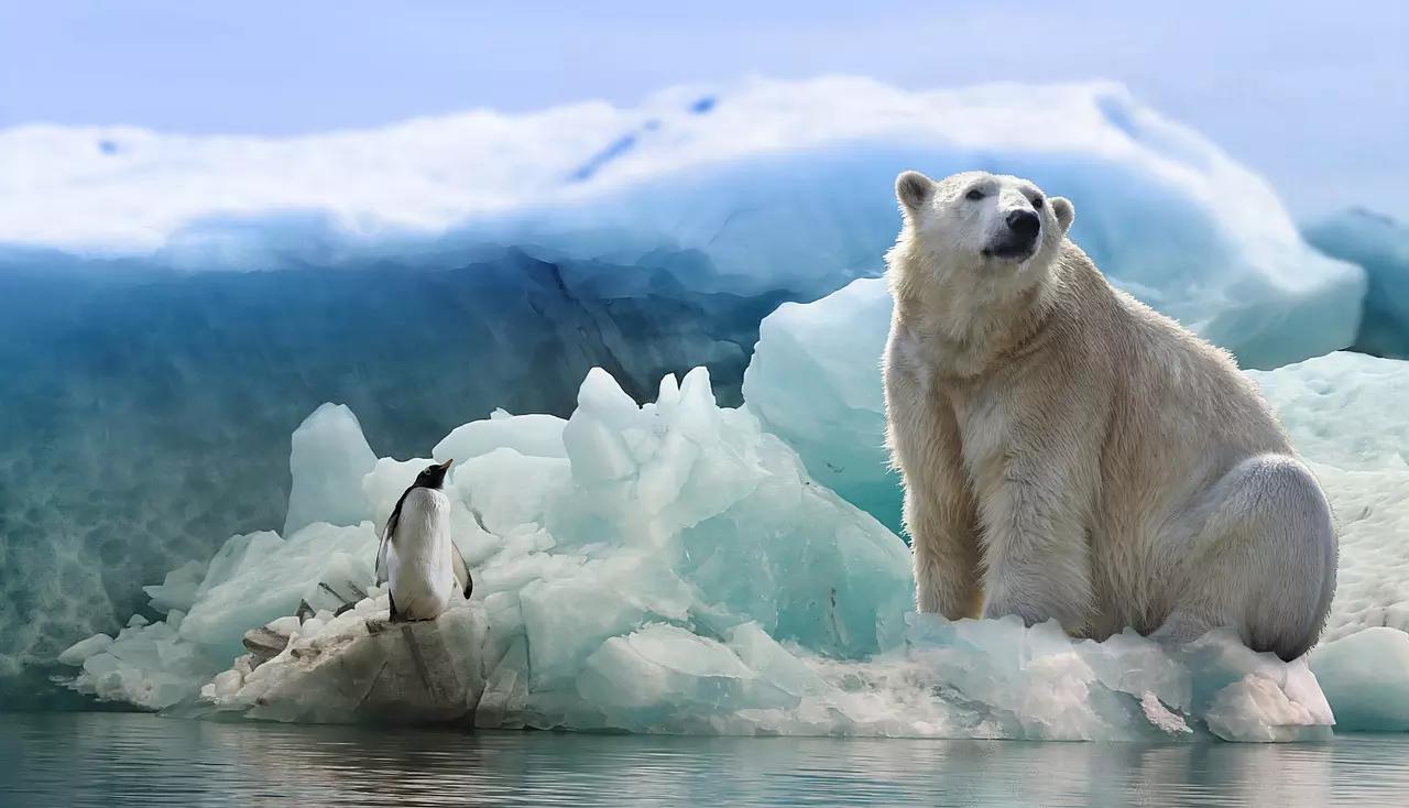Como se tornar um fotógrafo de natureza?