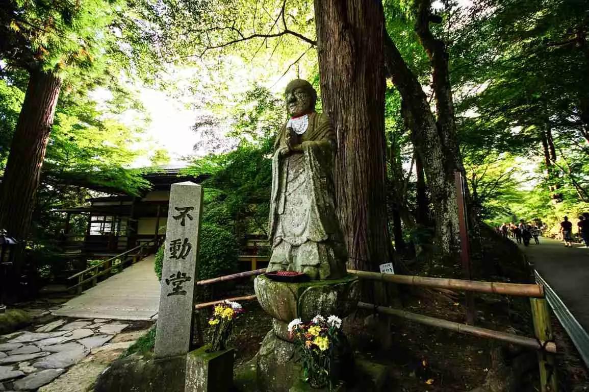 Descubra as escolas de língua japonesa