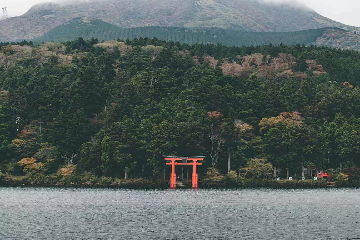 Quer fazer seus cursos de japonês?