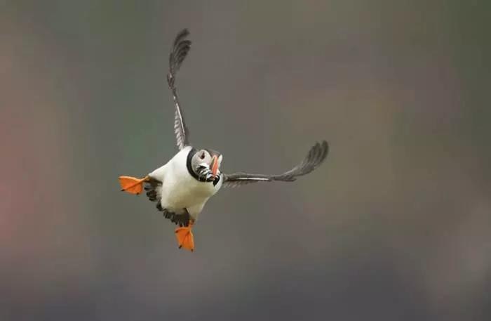 Tirar fotos inspiradas pelos maiores fotógrafos, é possível?