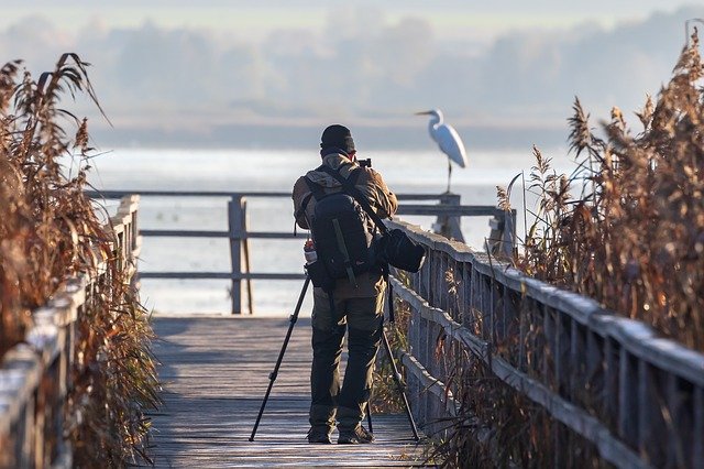 Fotografo tirando foto de uma garça em uma pier