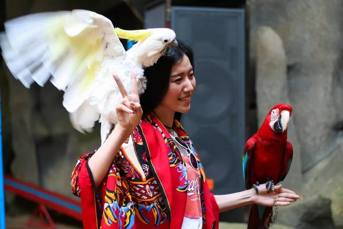 Faça aulas de mandarim para conhecer melhor os chineses