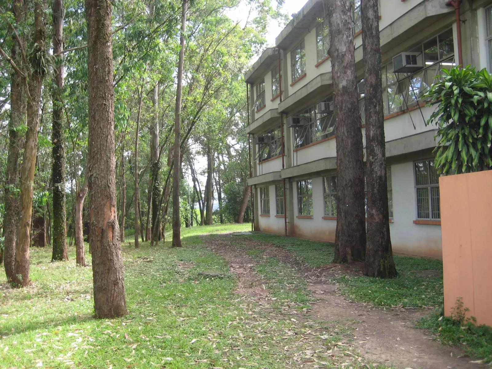 Português Língua Estrangeira na Universidade.