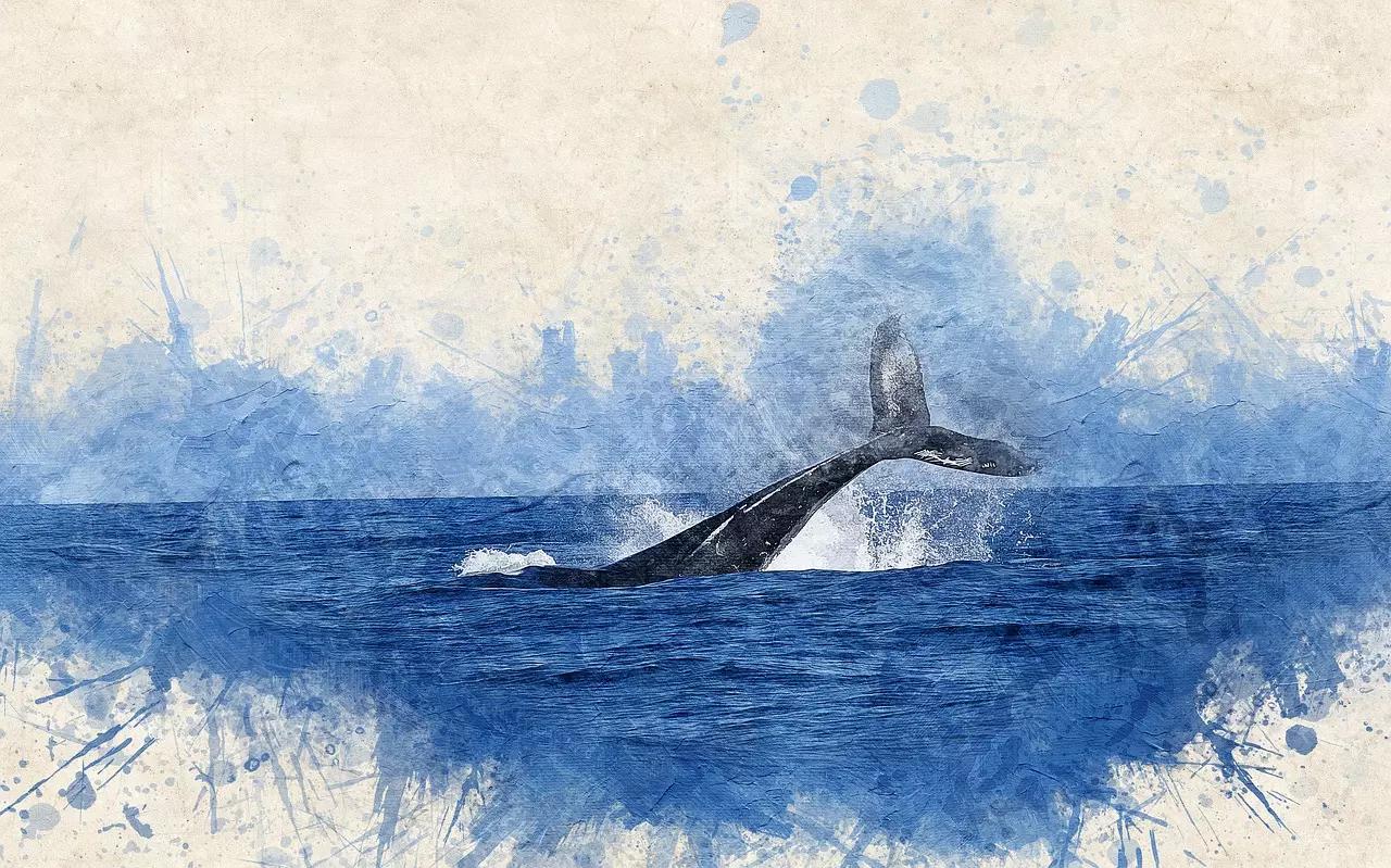 Como aprender aquarela?