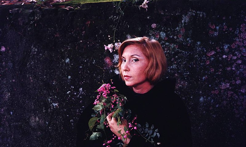 Clarice Linspector