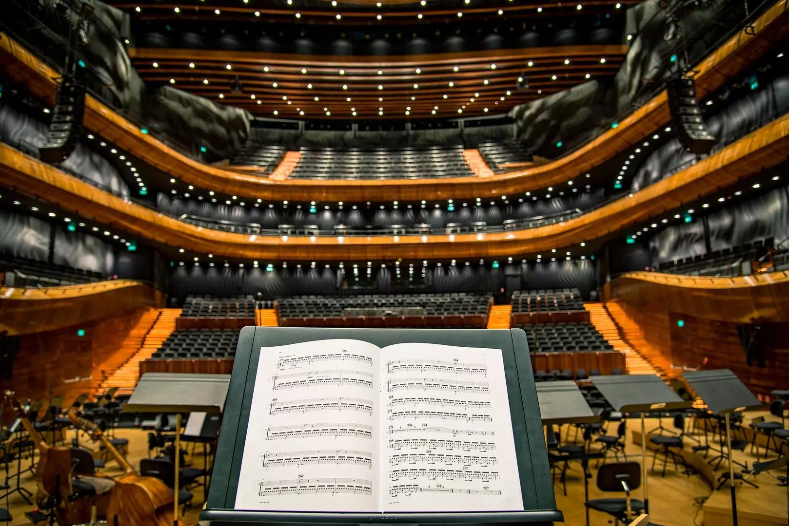 Violinistas são importantes para as óperas