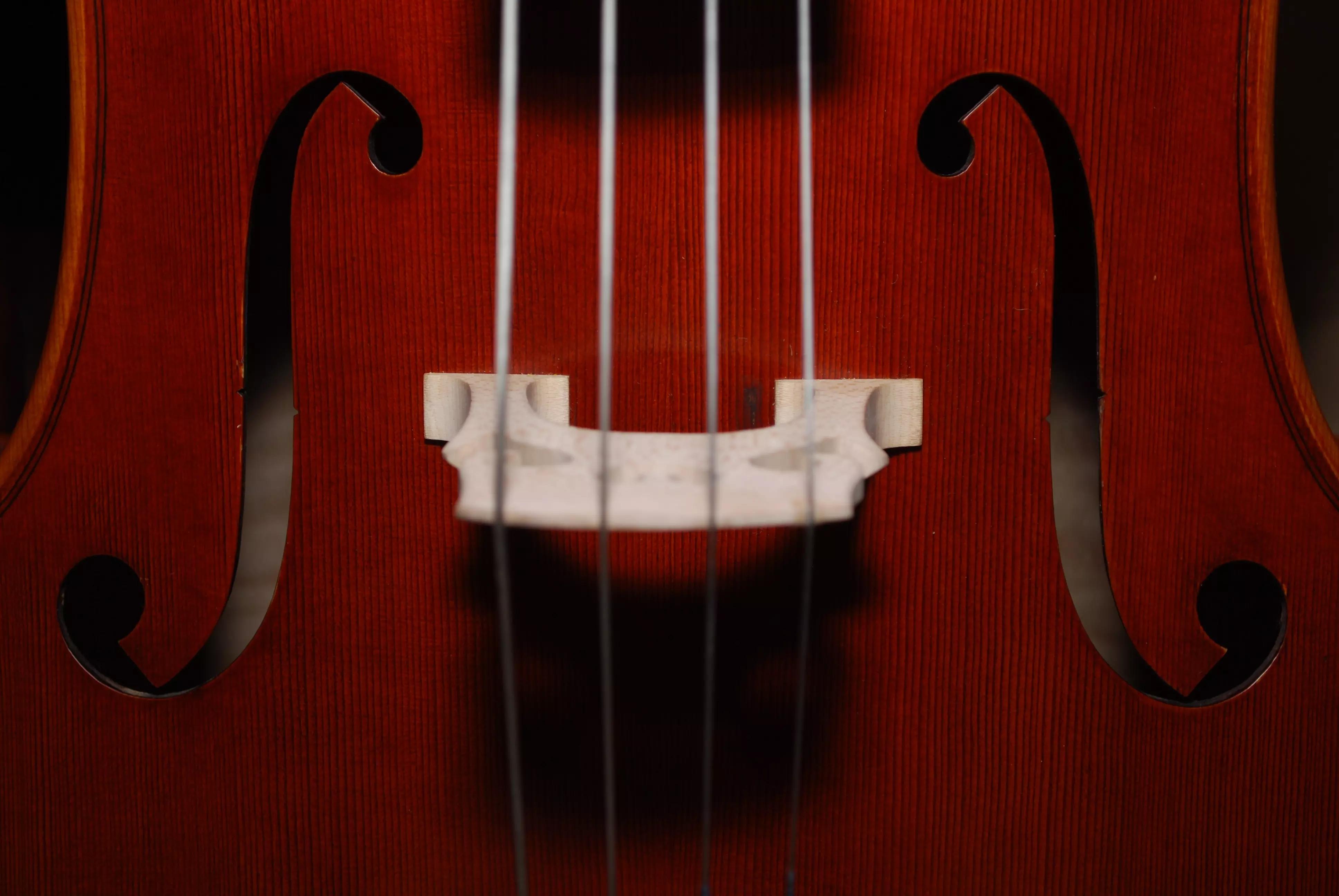 Peça indicações para um violinista mais experiente