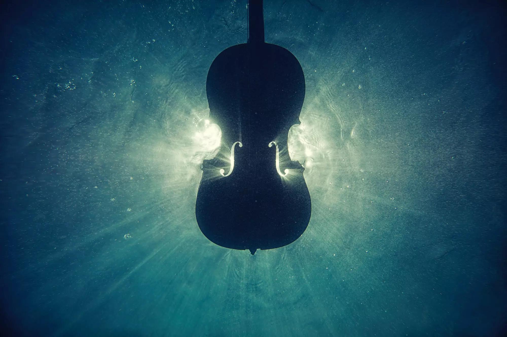 a poesia do violino