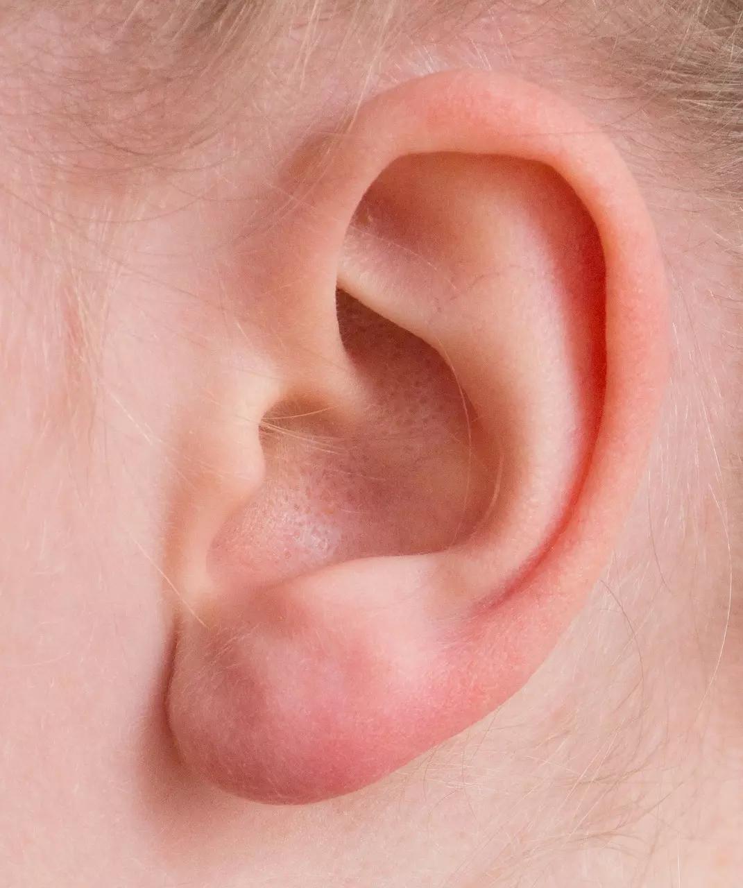 Onde aprende violino?
