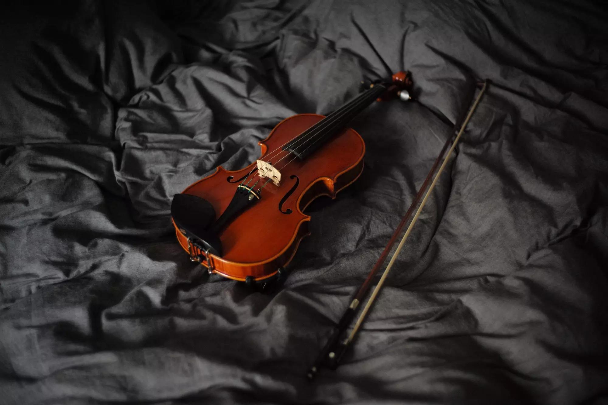profissionais especializados em instrumentos de corda