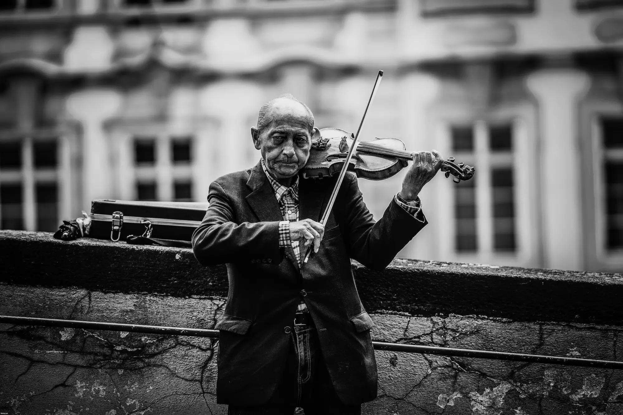 instrumento de corda, violino
